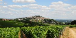 Week-end à la découverte des vignobles du Berry